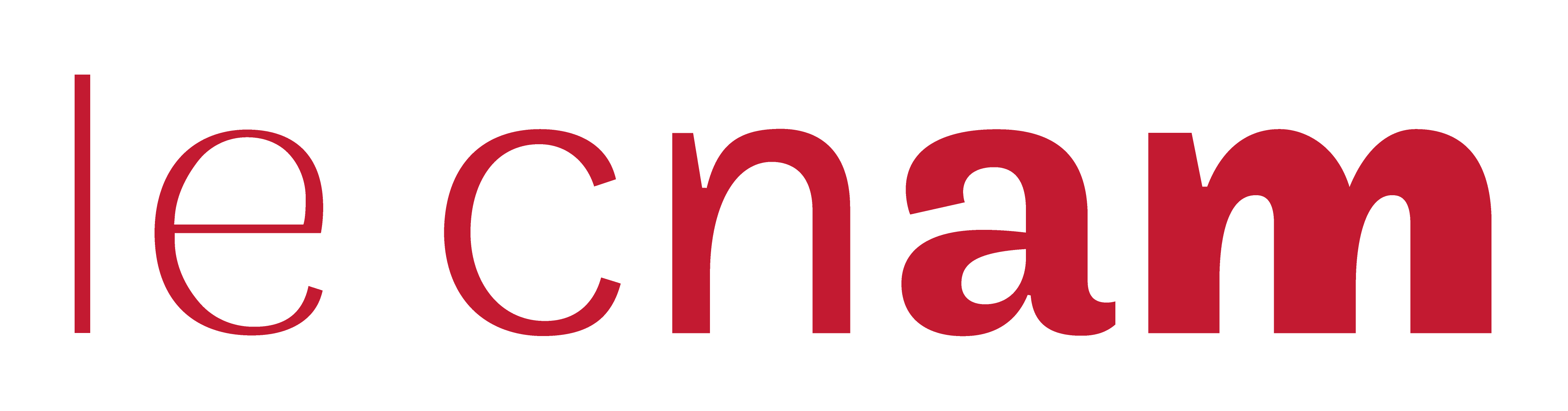 Logo Cnam