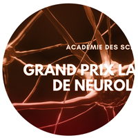 Grand prix Lamonica Grand prix Lamonica